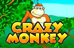 Crazy Monkey